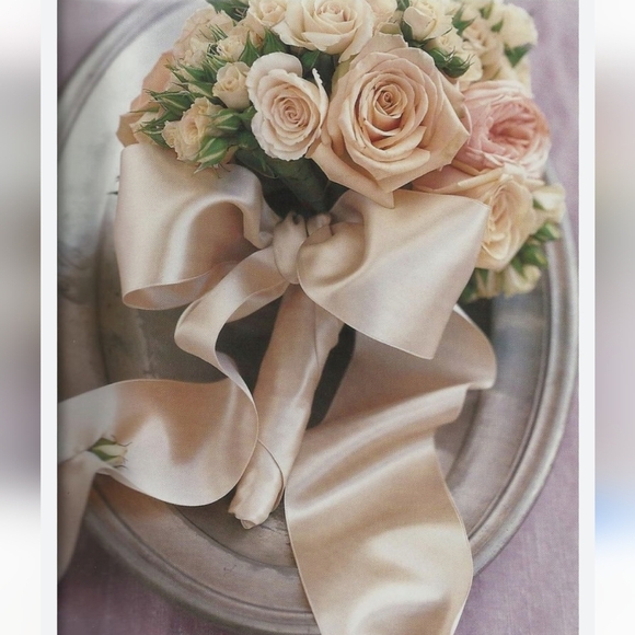 New!!! Tags!!ALFRED ANGELO 'MARGE MOONLIGHT' EMBROIDERED COLLECTION Sz 10 A Line - Picture 9 of 17